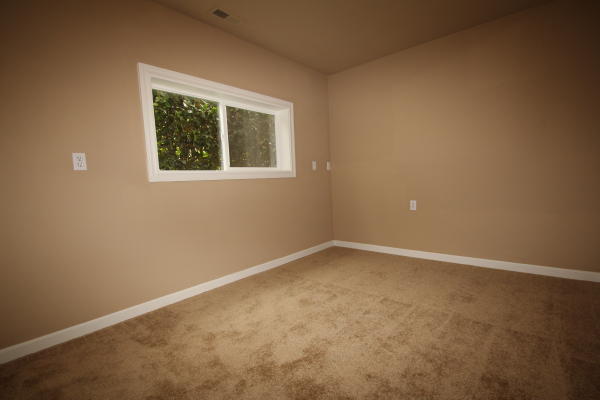 Lower level fireplace